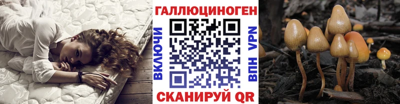 Псилоцибиновые грибы Psilocybine cubensis  купить   ОМГ ОМГ рабочий сайт  Лесосибирск 