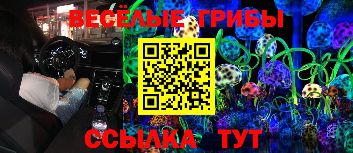 Псилоцибиновые грибы MAGIC MUSHROOMS  Вход с VPN  даркнет сайт  Лесосибирск 